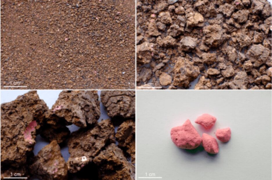 Descubren estuche de maquillaje intacto de hace más 2 mil años