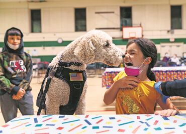 OMS y Pfizer buscan tranquilizar sobre eficacia de vacunas