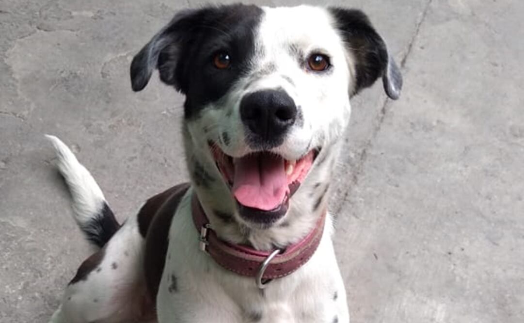 Foto: Cortesía de Azucena García