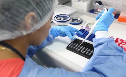 Vacuna contra zika puede llegar “demasiado tarde”: OMS