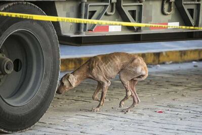  Los 'olvidados' del sismo
