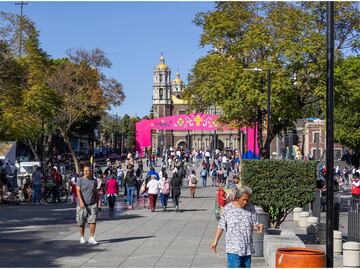 ¿Vives cerca de la Basílica? Conoce los requisitos para obtener tarjetón de circulación durante festejos de la Virgen de Guadalupe
