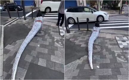 Captan a "therian" serpiente arrastrándose por la calle en Japón y video se viraliza