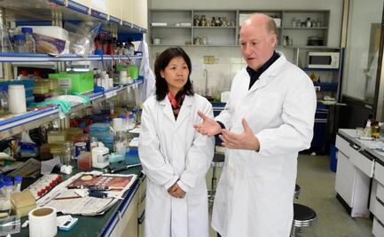 EU busca más información sobre Covid-19 de China; tiene "preocupaciones" sobre investigación de OMS