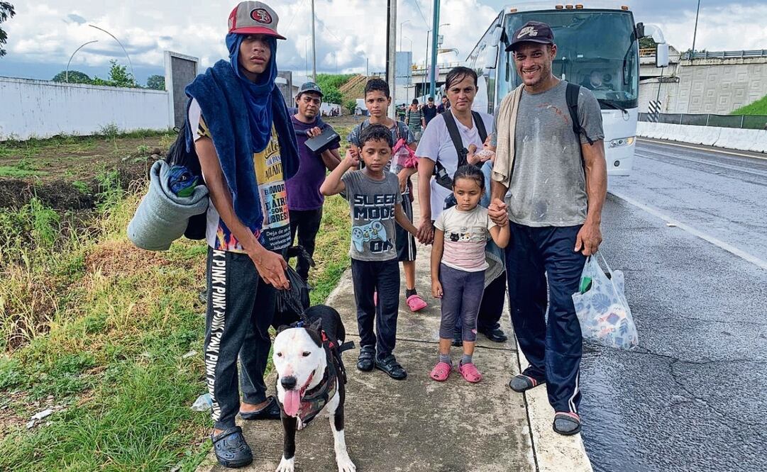 Rocko es un perro de raza pitbull que viaja con su familia humana integrada por tres adultos y cinco menores. Foto: María de Jesús Peters EL UNIVERSAL