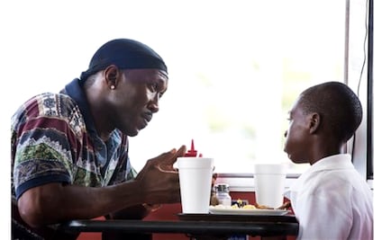 "Moonlight" y "The Americans" reciben premios de guionistas 