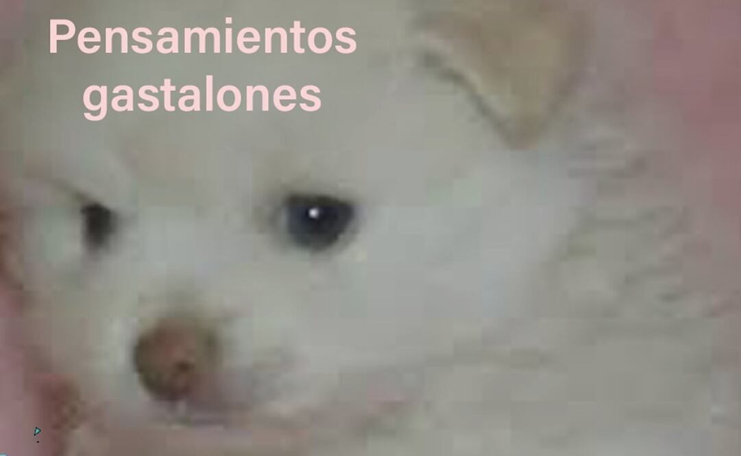 Por medio de la plataforma X, internautas compartieron sus mejores creaciones para soportar las deudas. Foto: X