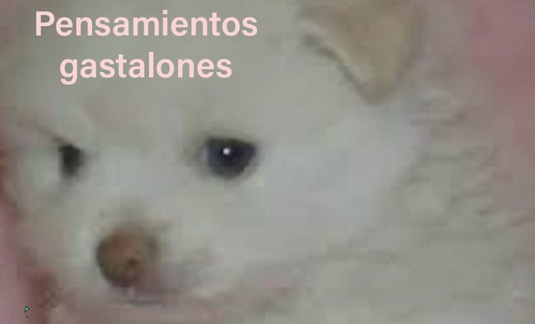 Por medio de la plataforma X, internautas compartieron sus mejores creaciones para soportar las deudas. Foto: X