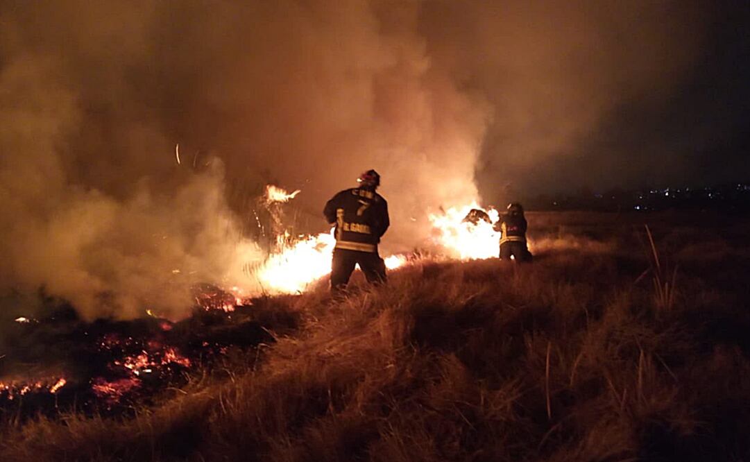 Foto: Twitter @SEDEMA_CDMX