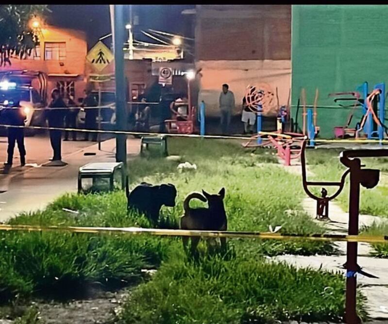 Con base en los reportes diarios de la Fiscalía General del Estado, en esa semana León ocupó el primer lugar, con 30 homicidios. Foto: Especial