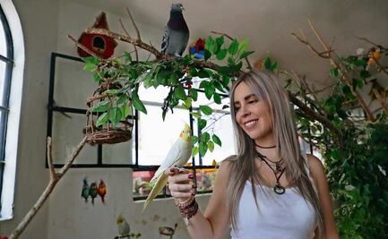 ¡Aves urbanas tienen una segunda oportunidad!