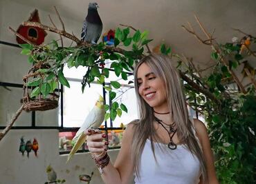 ¡Aves urbanas tienen una segunda oportunidad!