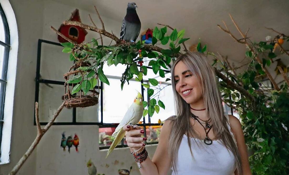 Alejandra Loera tomó cursos y se especializó en materia de aves; ahora les brinda alojamiento y cura sus heridas. (07/04/2025) Foto: Atenea Canpuzano | El Universal