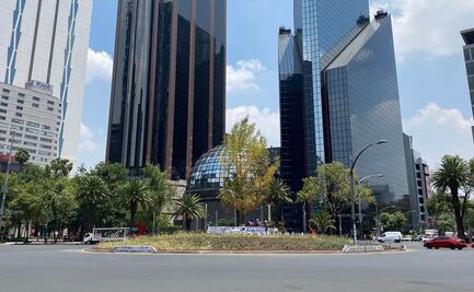 Descartan daños al Ahuehuete de Reforma por auto que se impactó en Glorieta de la Palma