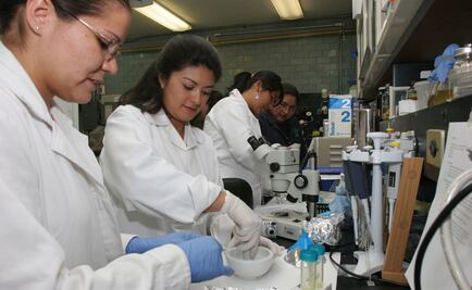 A la baja empleos de mujeres en ciencia y tecnología, alertan 