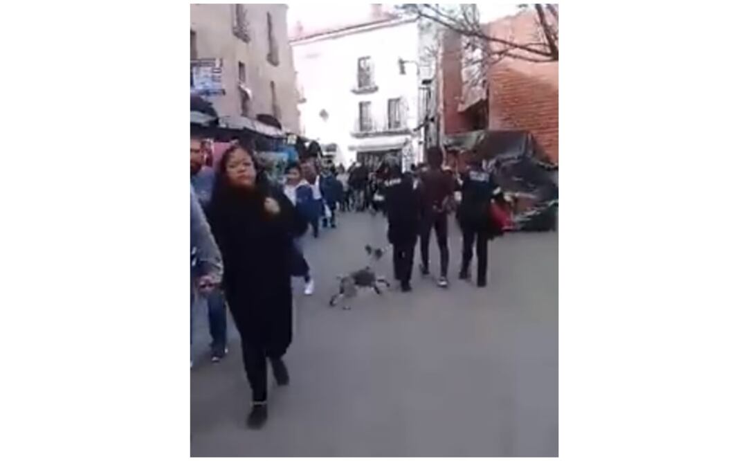Foto: Tomada del video / El joven fue detenido cerca de la zona comercial de la Plaza Bicentenario