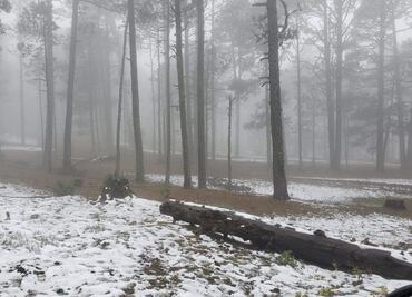 Reportan primera nevada en Tamaulipas