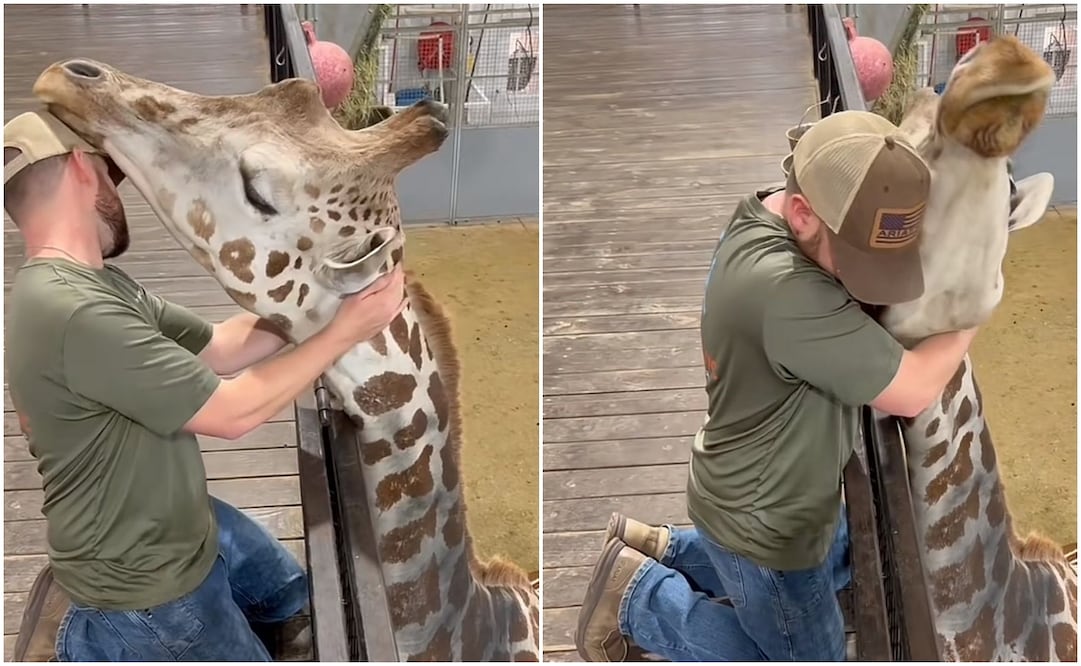 El Dr. Joren, como es conocido en tiktok, tiene las consultas más inusuales con perros, gatos y caballos. Fotos: TikTok @dr.joren_whitley