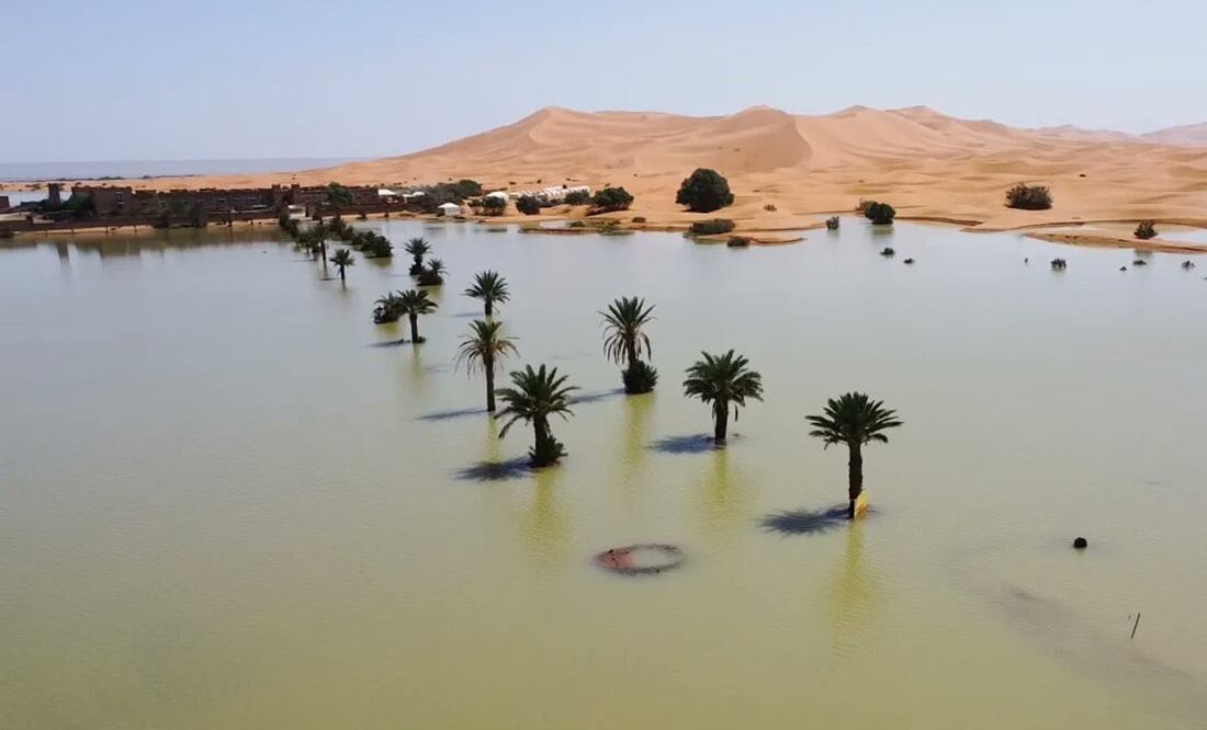 El desierto del Sahara inundado por primera vez en casi cincuenta años. Foto: X @BharatSpectrum