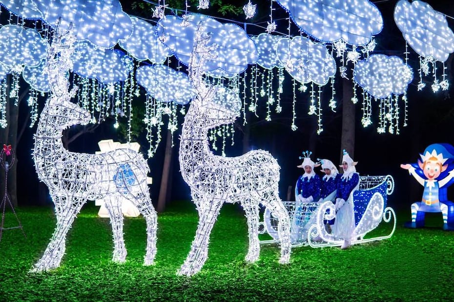 Foto: Facebook ‘BrillaFest, Una Navidad en el Bosque’