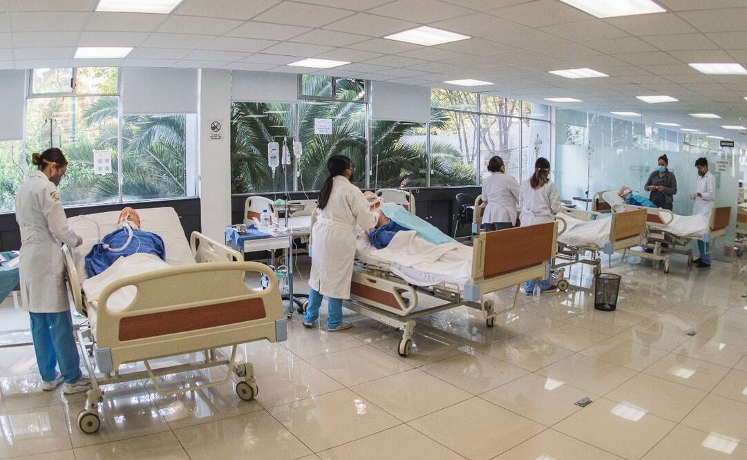 Foto: Cortesía UNAM