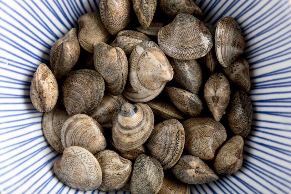 Las almejas deben desecharse si no se abren tras 3 minutos de cocción. Foto: Freepik