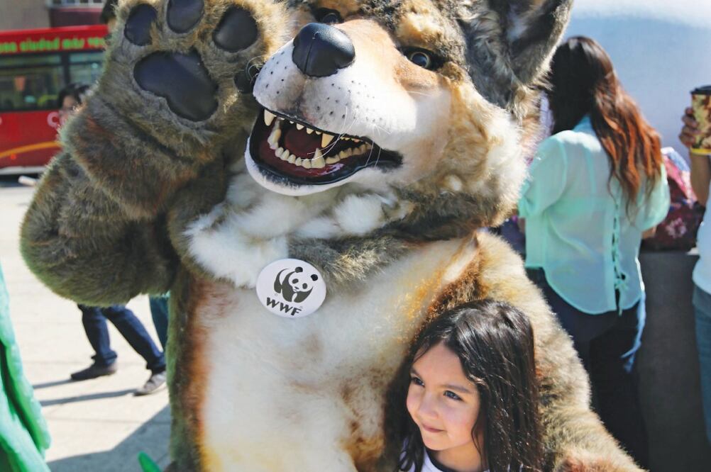 Ecologistas se manifestaron ayer en en el DF en contra del cambio climático. En la foto una niña posa con una persona disfrazada de lobo (Especial)