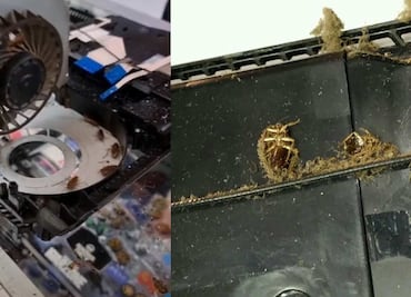 Abren PS4 para arreglarla, descubren colonia de cucarachas