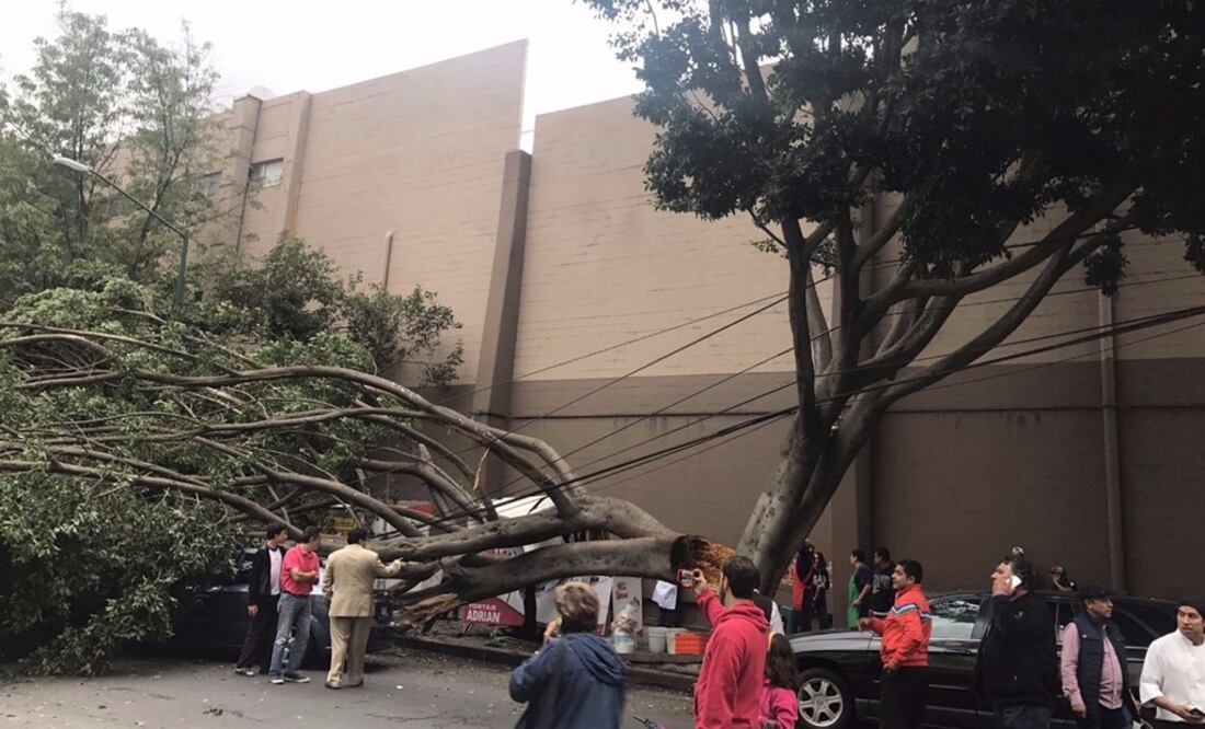 (Foto: Twitter @SUUMA_CDMX)