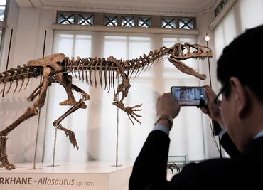 Descubren primera evidencia de un dinosaurio que enfermó de gripe