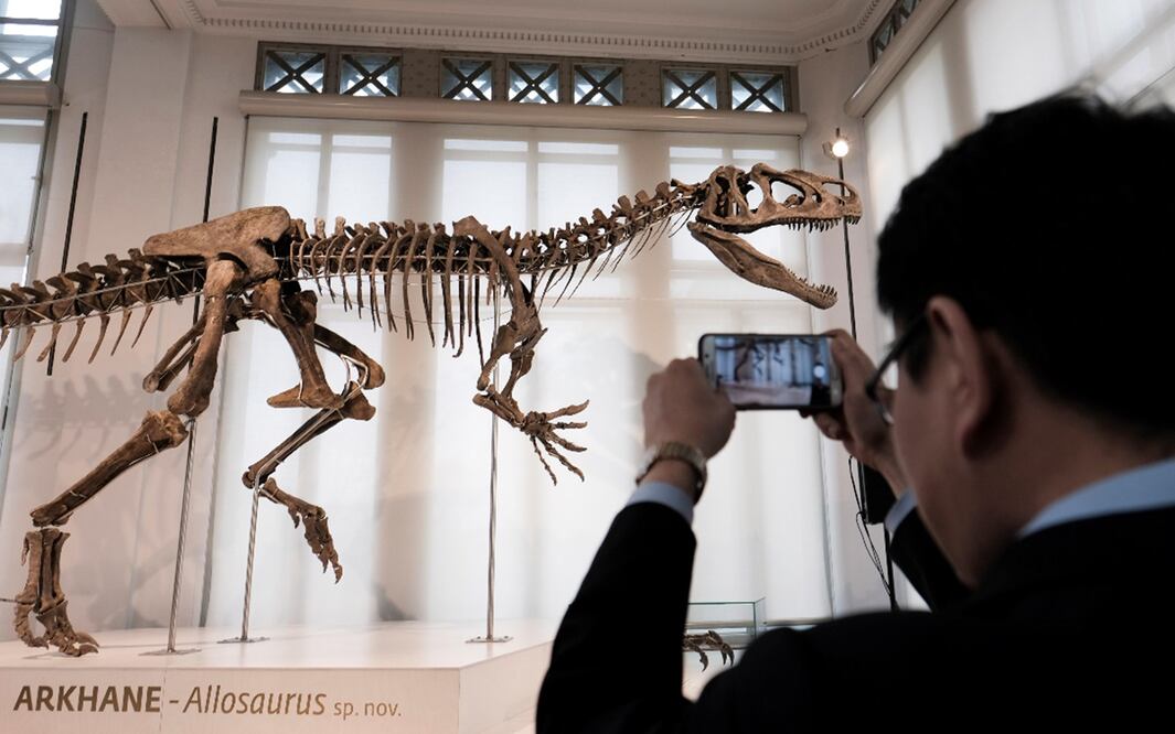 Foto: EFE / Olivier Hoslet