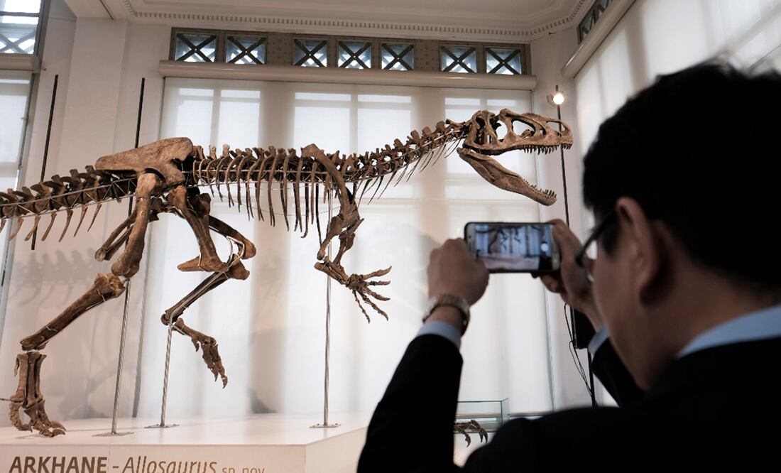 Foto: EFE / Olivier Hoslet