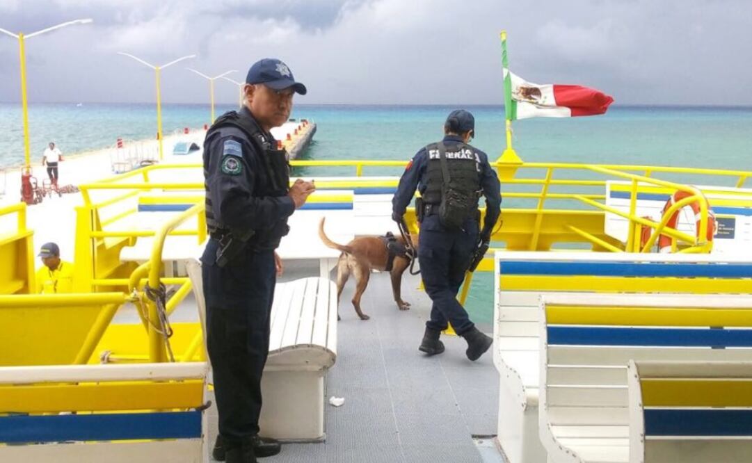 La Policía Federal reiteró sus canales de denuncia a la ciudadanía. Foto: Especial