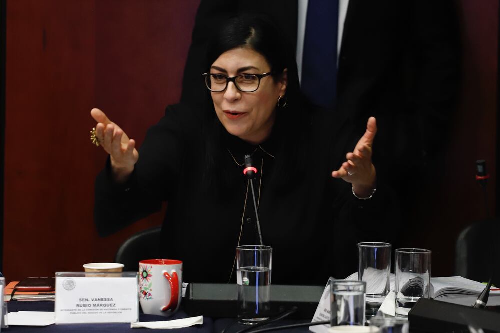 La senadora Vanessa Rubio señaló que de continuar con un crecimiento débil, el gobierno federal deberá enfrentar los cuestionamientos / Archivo. EL UNIVERSAL