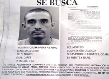 Cae “El Parra”, presunto líder del tráfico de totoaba