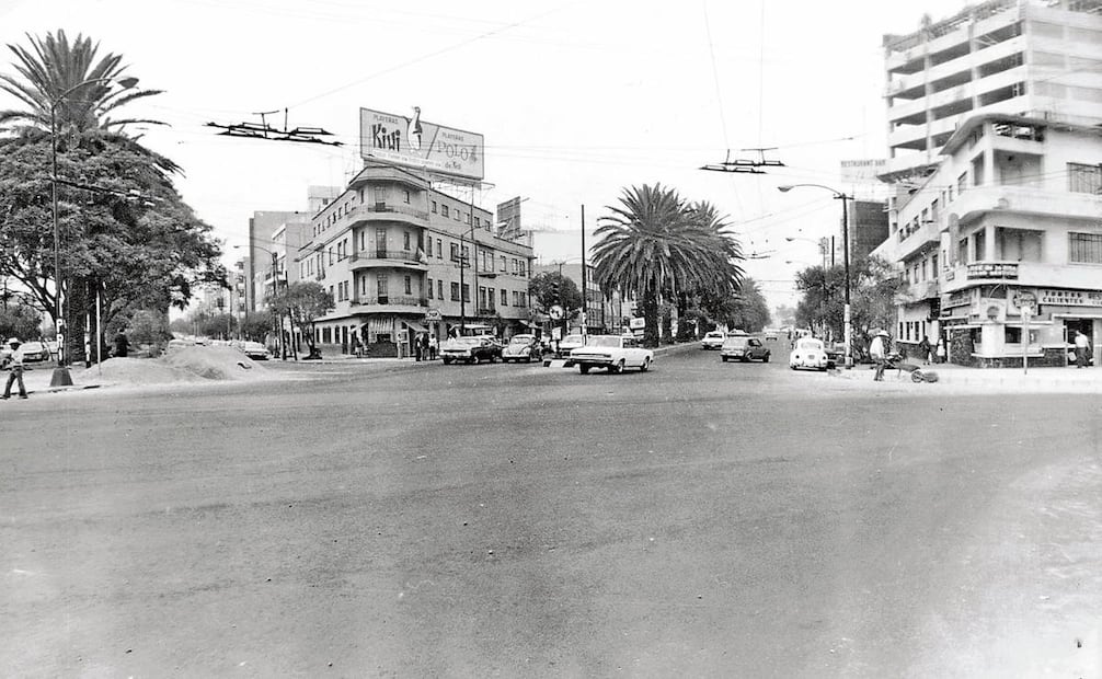 En 1979, el camellón de avenida Universidad, en la Narvarte, tenía
muchas palmeras, las cuales ya fueron
retiradas. Foto: Colección Carlos Villasana
