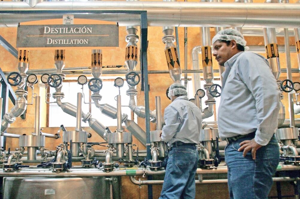 El año pasado fue positivo para Cuervo, porque la empresa tuvo un repunte de 0. 3% en su volumen de venta, 6% en sus ingresos netos y 50% en sus ganancias netas (ARCHIVO EL UNIVERSAL)