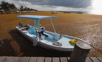 Descartan cancelación de reservas por sargazo en Quintana Roo