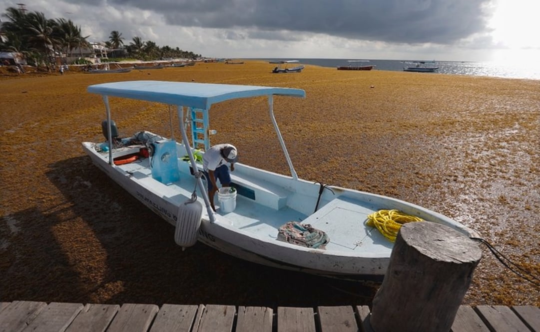 Fotografía: cortesía de Puerto Morelos