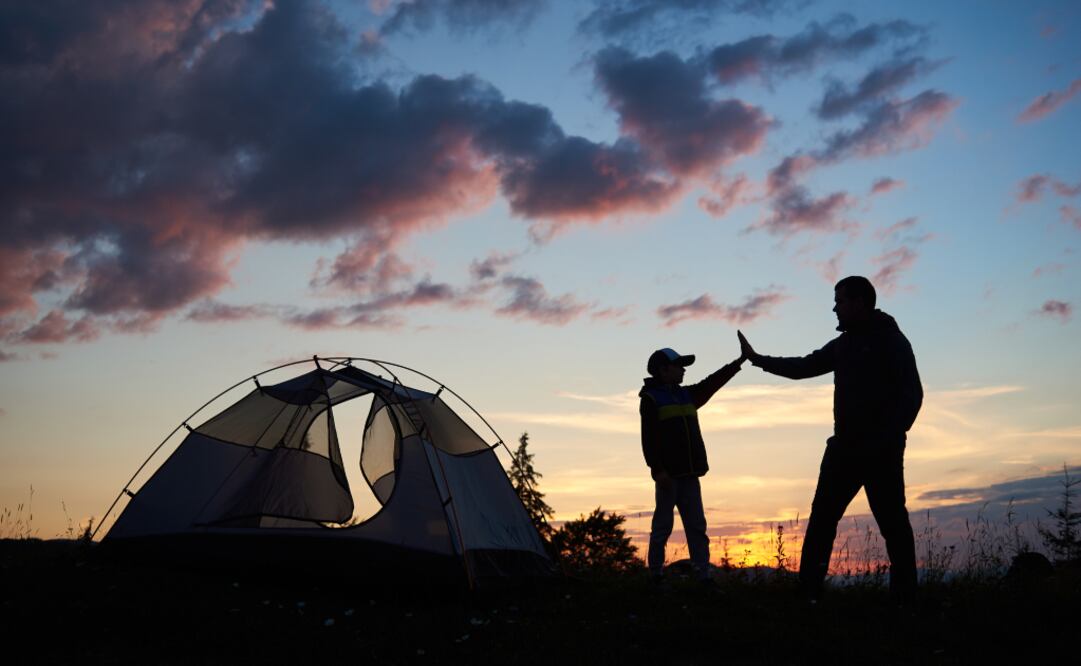 En la Noche del Axólotl, en Xochimilco, conocerás más sobre los ajolotes. / Foto: iStock