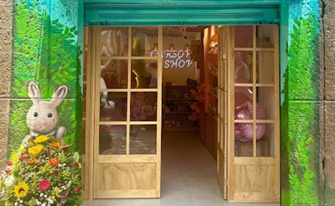 ¡Los ternurines por fin tienen una tienda en la CDMX! Foto: Facebook Carsof Shop