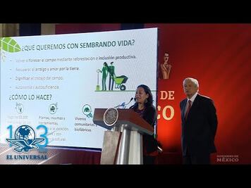 Arranca programa Sembrando Vida en ocho estados