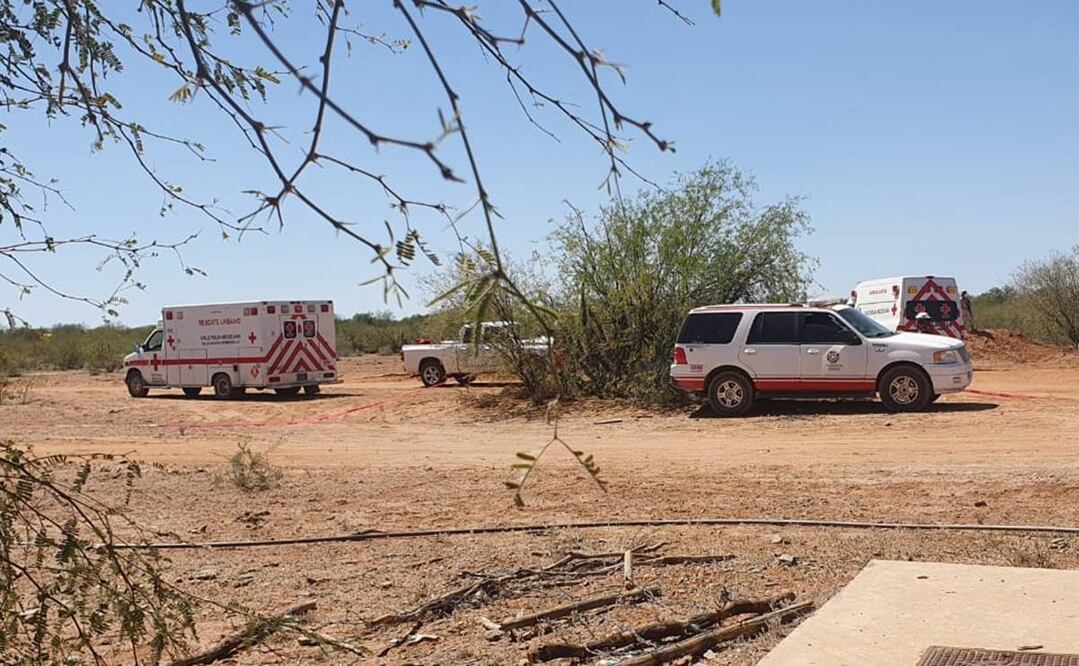 Foto: Amalia Escobar/EL UNIVERSAL