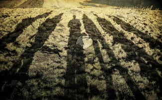 Dos casos de desaparición en Jalisco, seis jóvenes liberados y una investigación por reclutamiento forzado; esto se sabe 