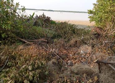 Relleno ilegal amenaza reserva natural en Sisal, Yucatán; vecinos acusan ecocidio y complicidad de autoridades