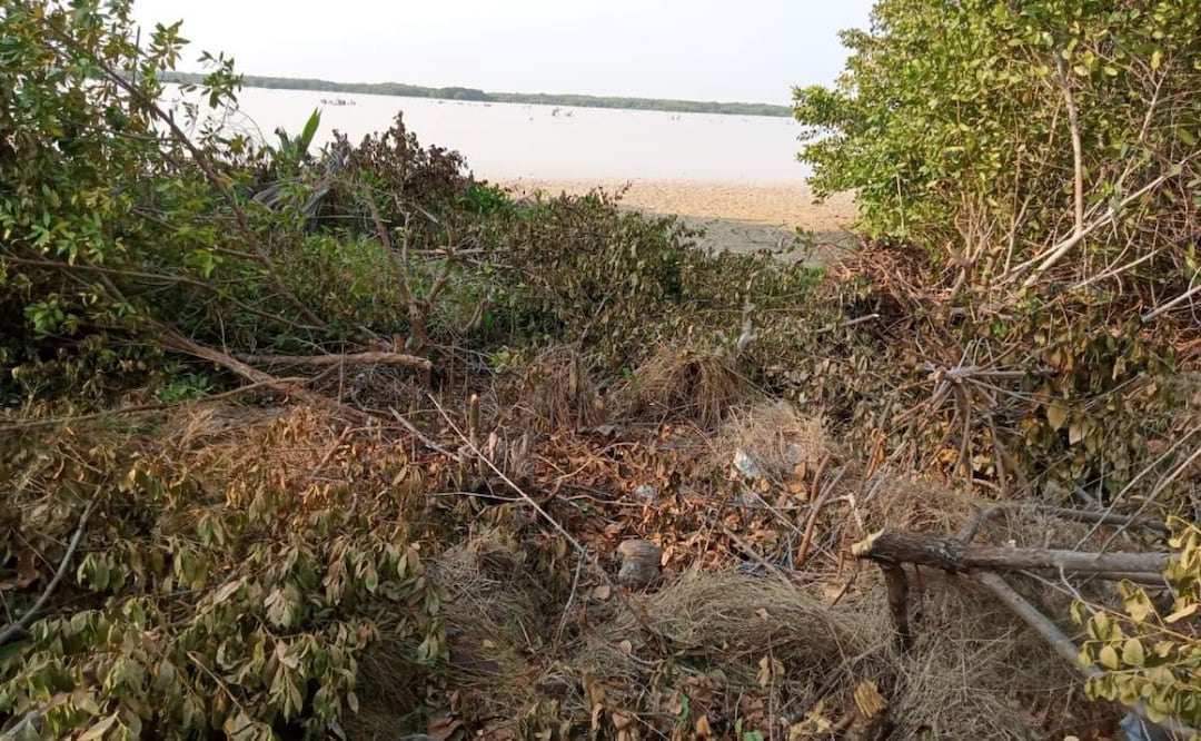 Relleno con arena y escombro en una zona que forma parte de la reserva federal de ciénegas y manglares en Sisal, Yucatán (13/06/2025). Foto: Especial