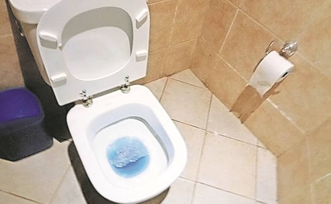 Imagen ilustrativa. Foto: Archivo/EL UNIVERSAL