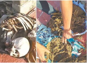 Hallan osamenta en techo de agencia de investigaciones