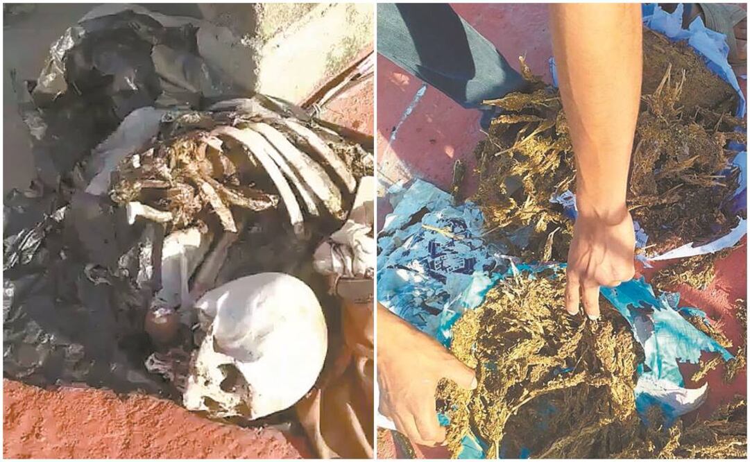 La fiscalía general explicó que la osamenta y la marihuana halladas en el techo de la agencia fueron colocadas ahí para un “proceso de secado”. Fotos/TOMADAS DE VIDEO