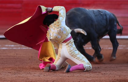 Congreso de la CDMX aprueba la prohibición de corridas de toros con violencia